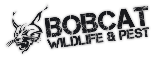 Bobcat Wildlife & Pest Logo