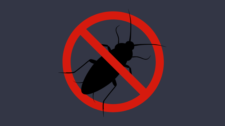 Pest Control in North Liberty
