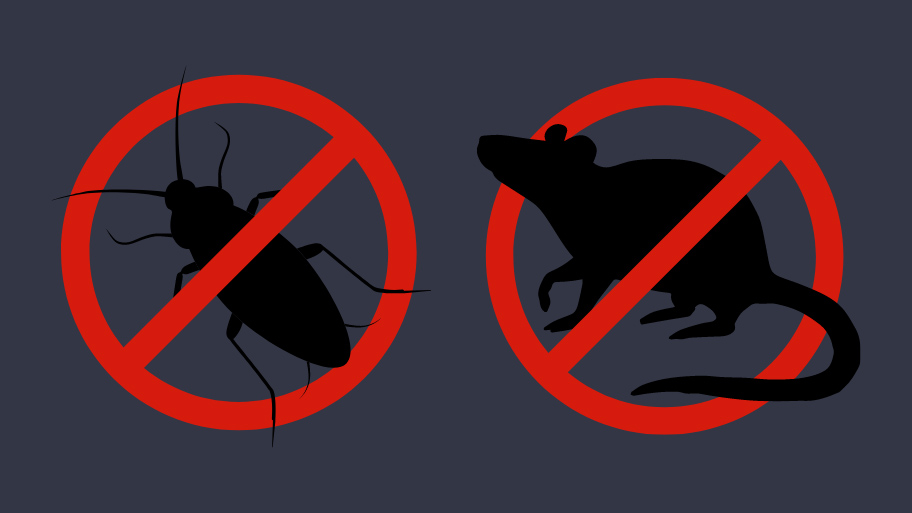 Pest Control Service in Mount Vernon, IA Pest Control Service in Mount Vernon, IA