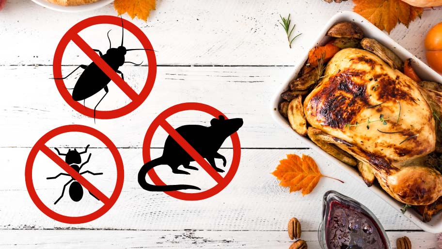 Thanksgiving Pest Control in Iowa City, IA