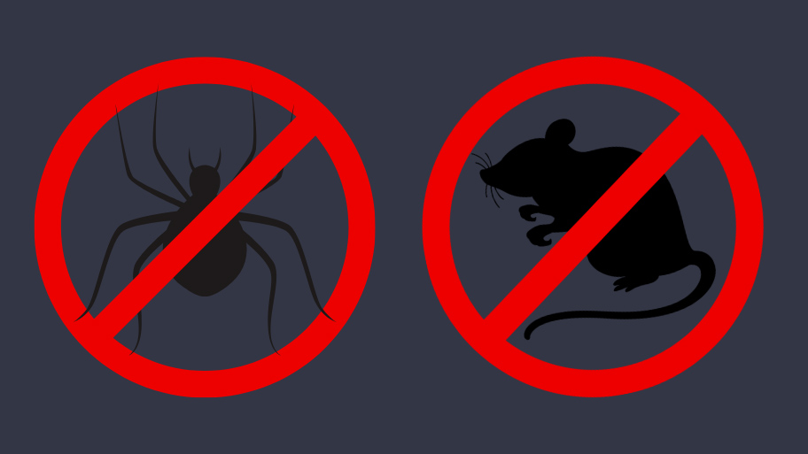 Pest Control Services in Marion, IA